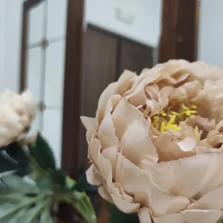 Guest house Interno 12 - 3*