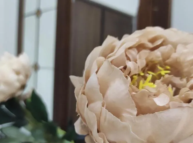 Gasthuis Interno 12 - 3*